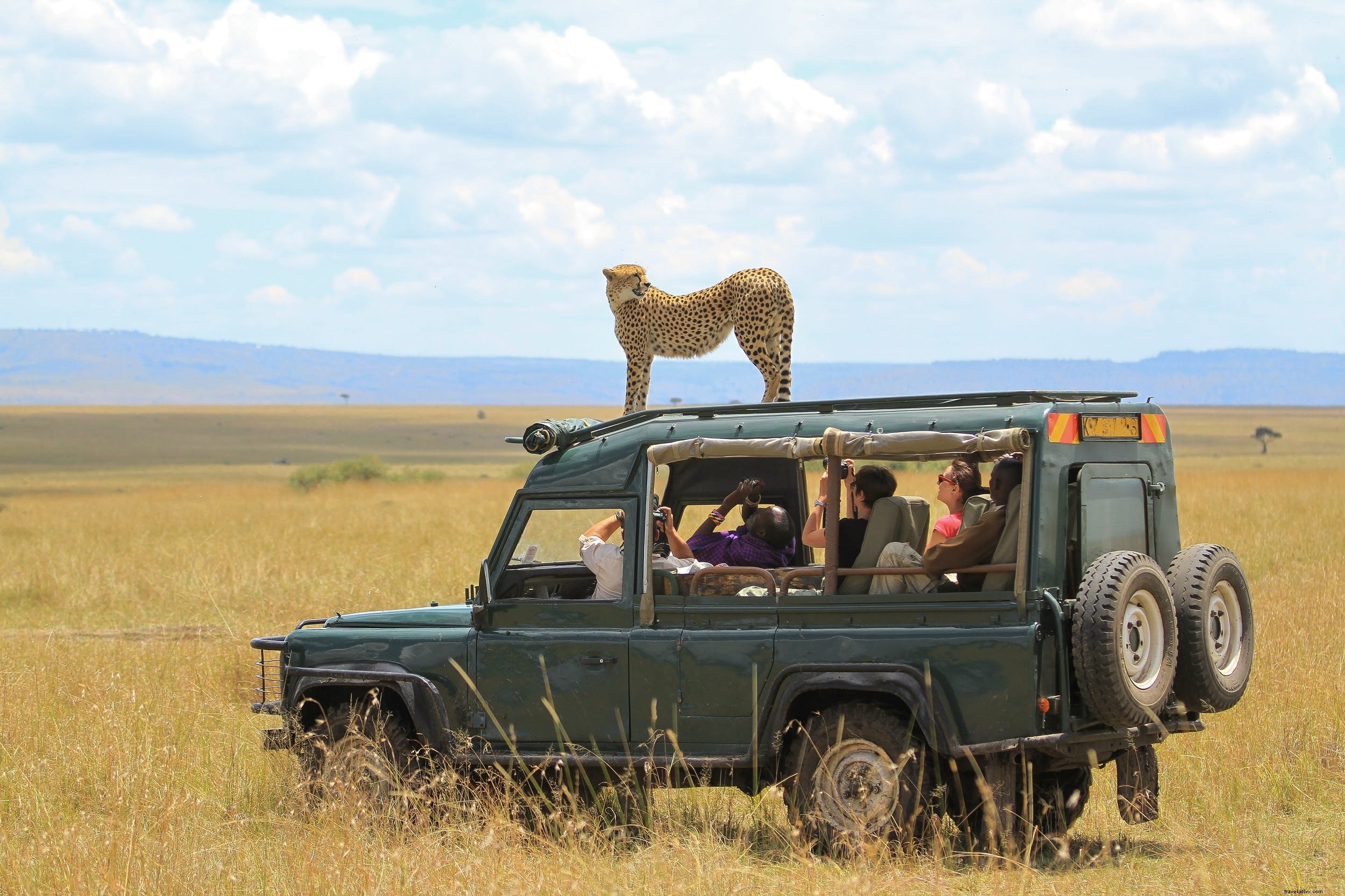 Onde fazer o seu primeiro safari na África 