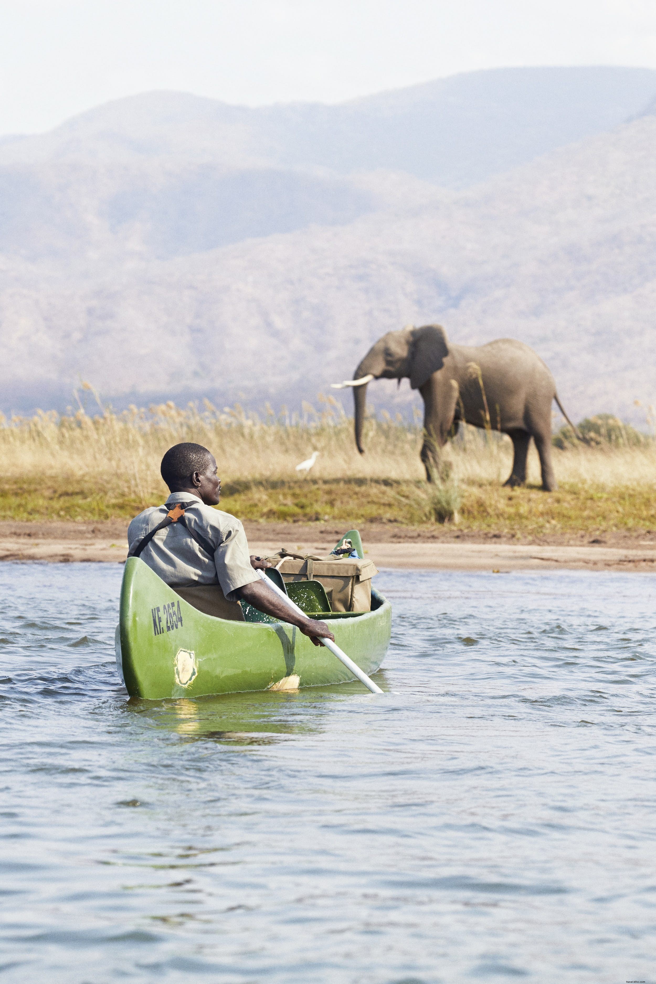 Où faire votre premier safari en Afrique 