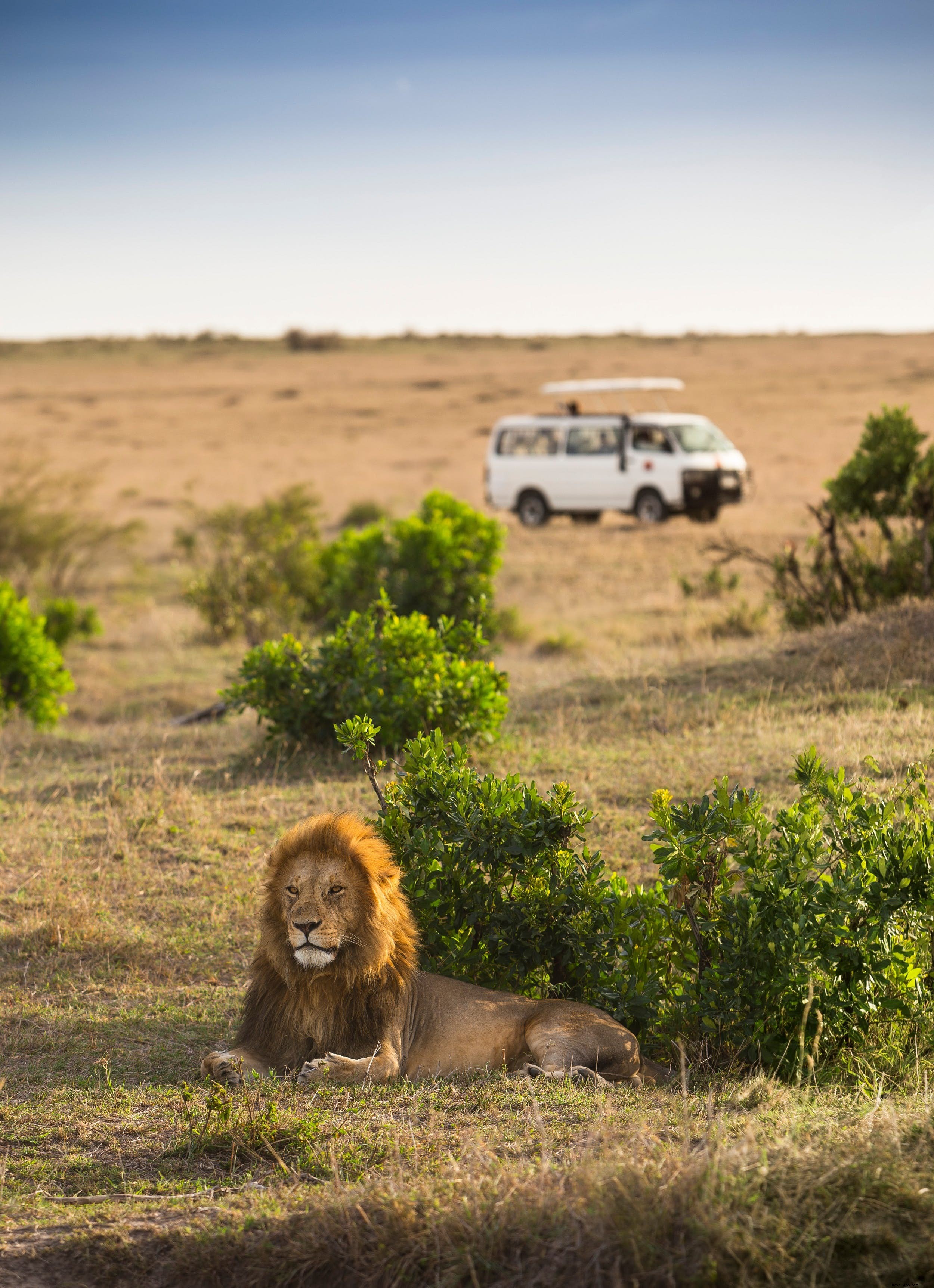 ¿Estás listo para un safari sin conductor en África? 
