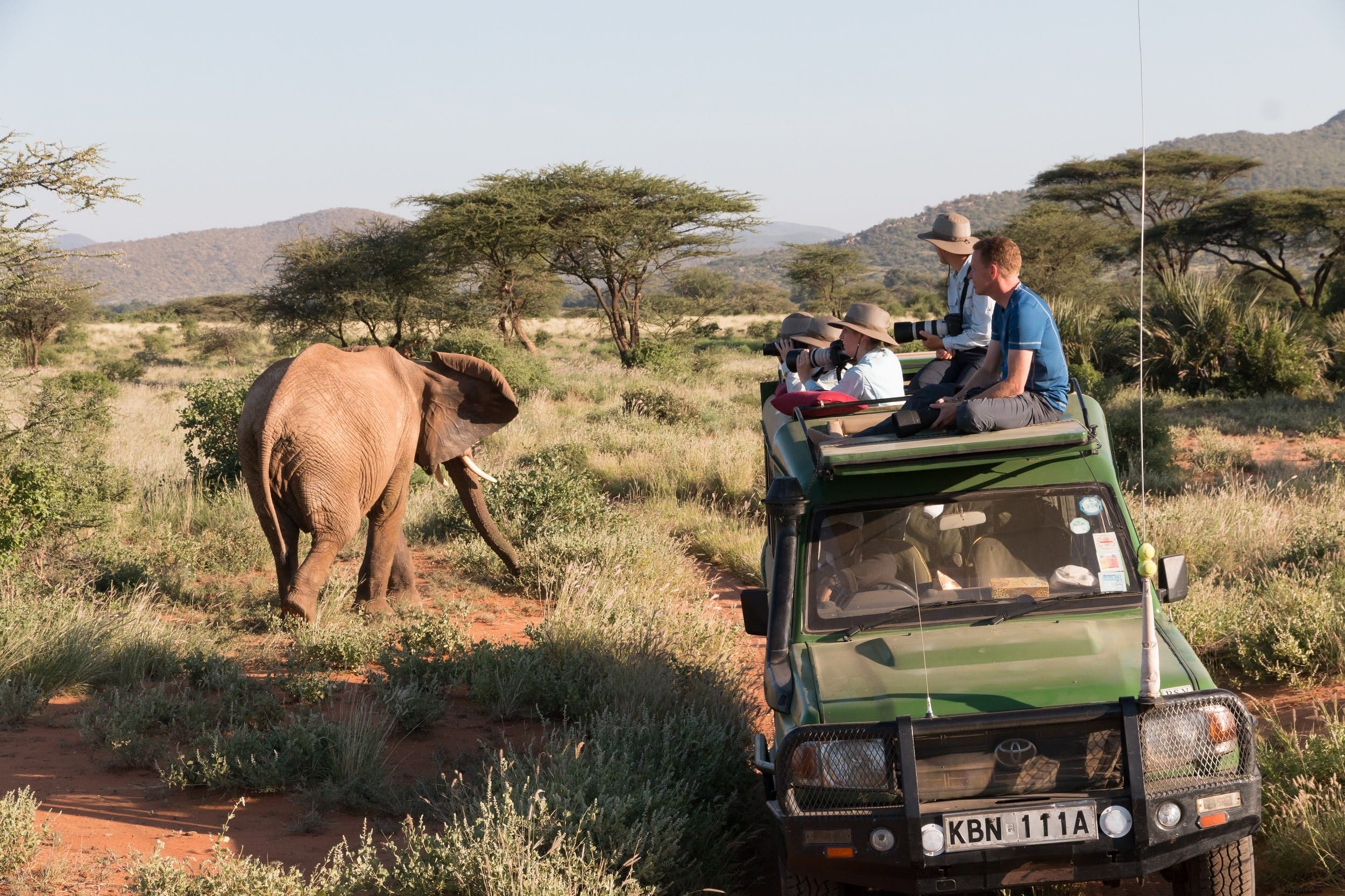 Une journée de safari en Afrique :à quoi s attendre en bivouac et à l état sauvage 