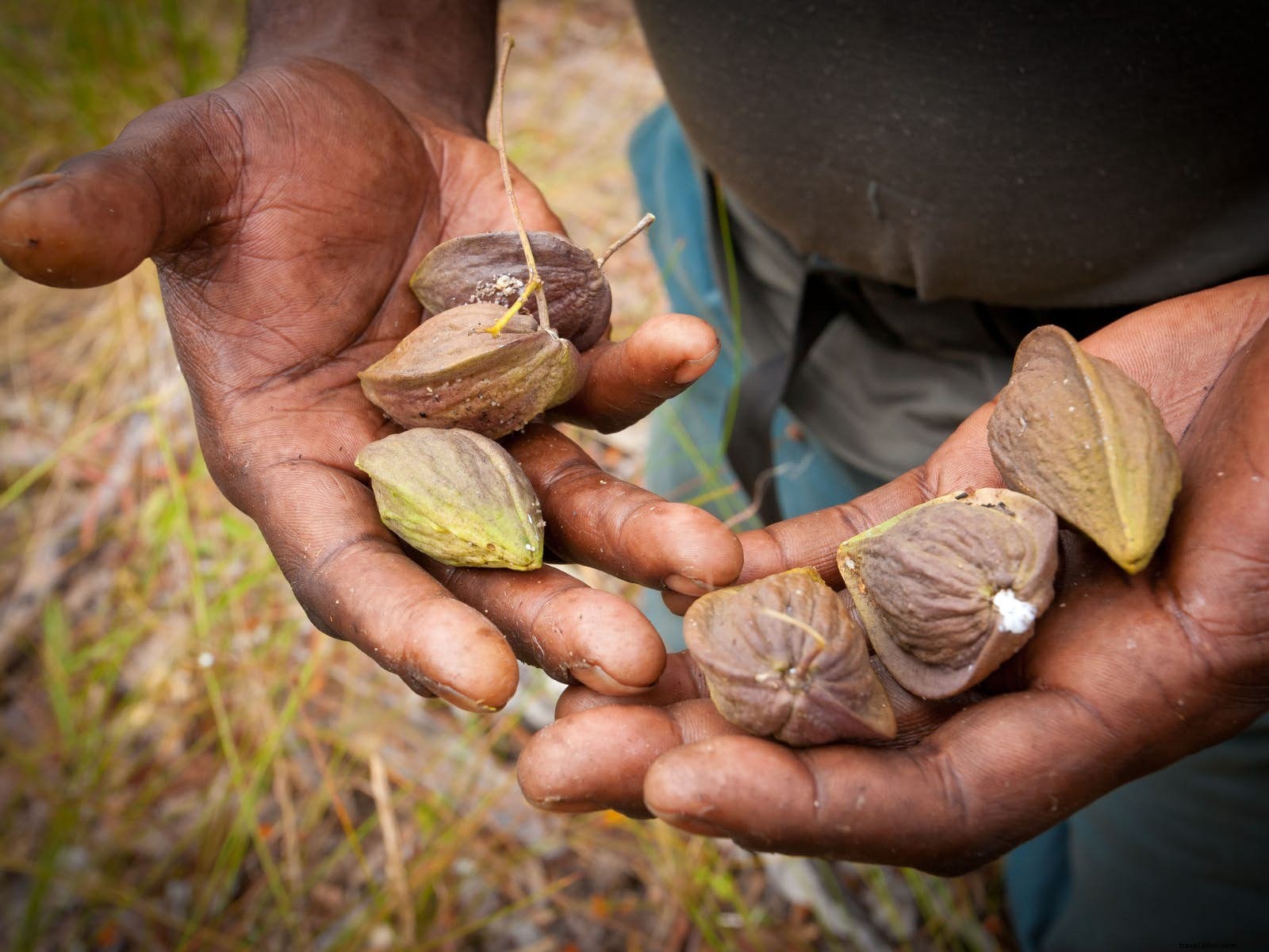 Pequeñas papilas gustativas en gira:10 experiencias gastronómicas que los niños adorarán 