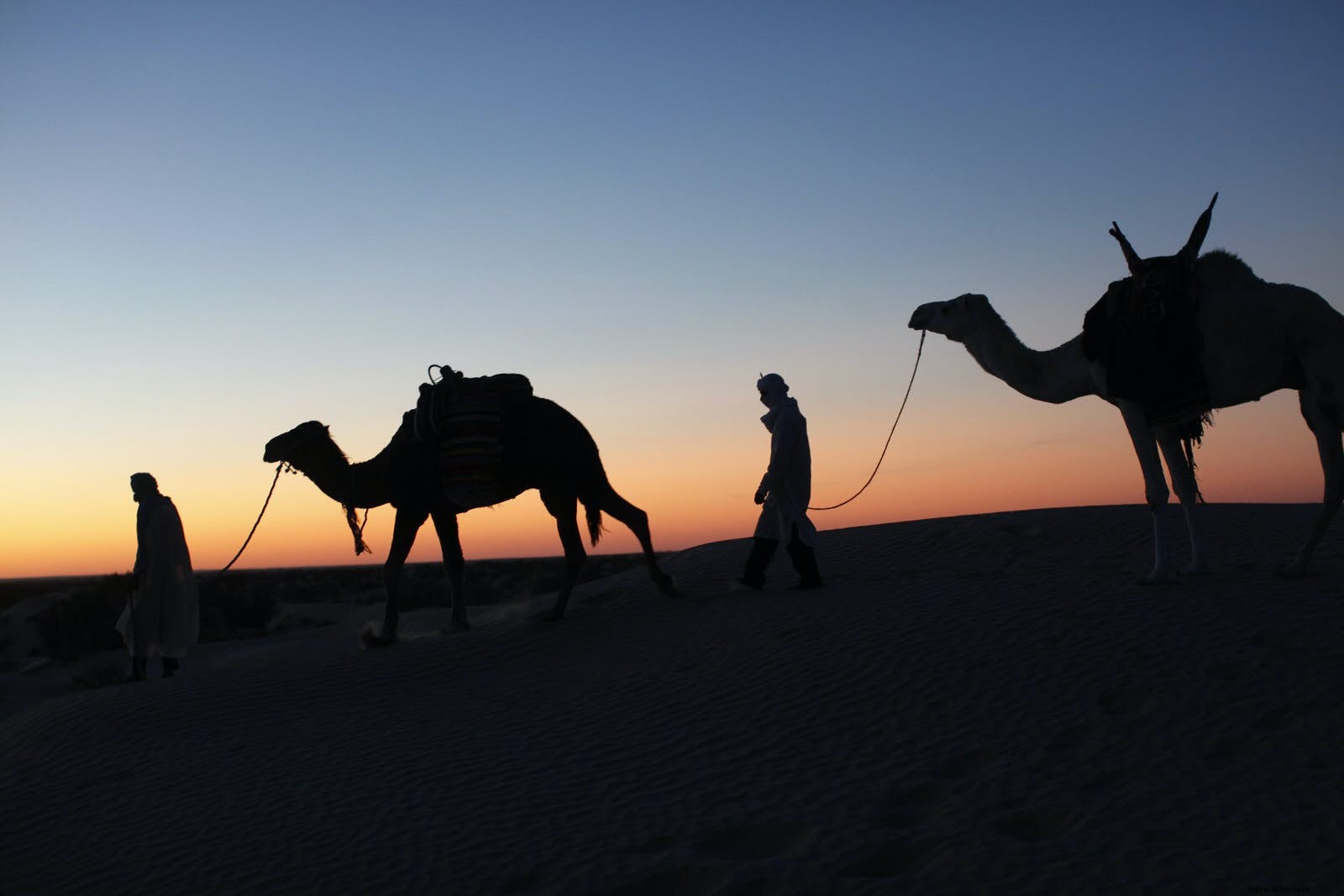砂漠のオデッセイ：チュニジアのサハラへの旅行を計画する 