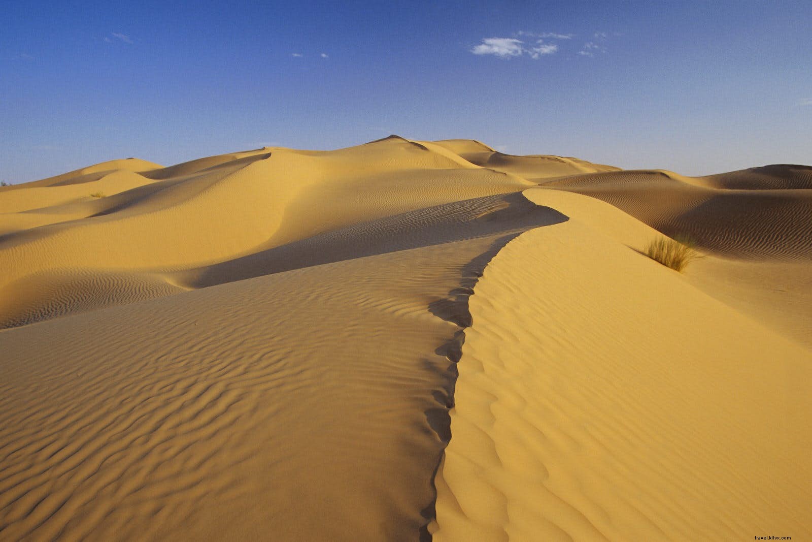 砂漠のオデッセイ：チュニジアのサハラへの旅行を計画する 