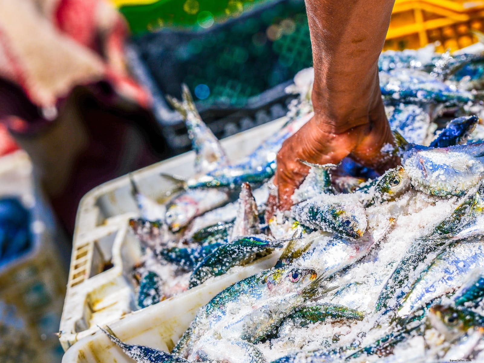Niente passera migliore:nove luoghi sensazionali di pesce in tutto il mondo 