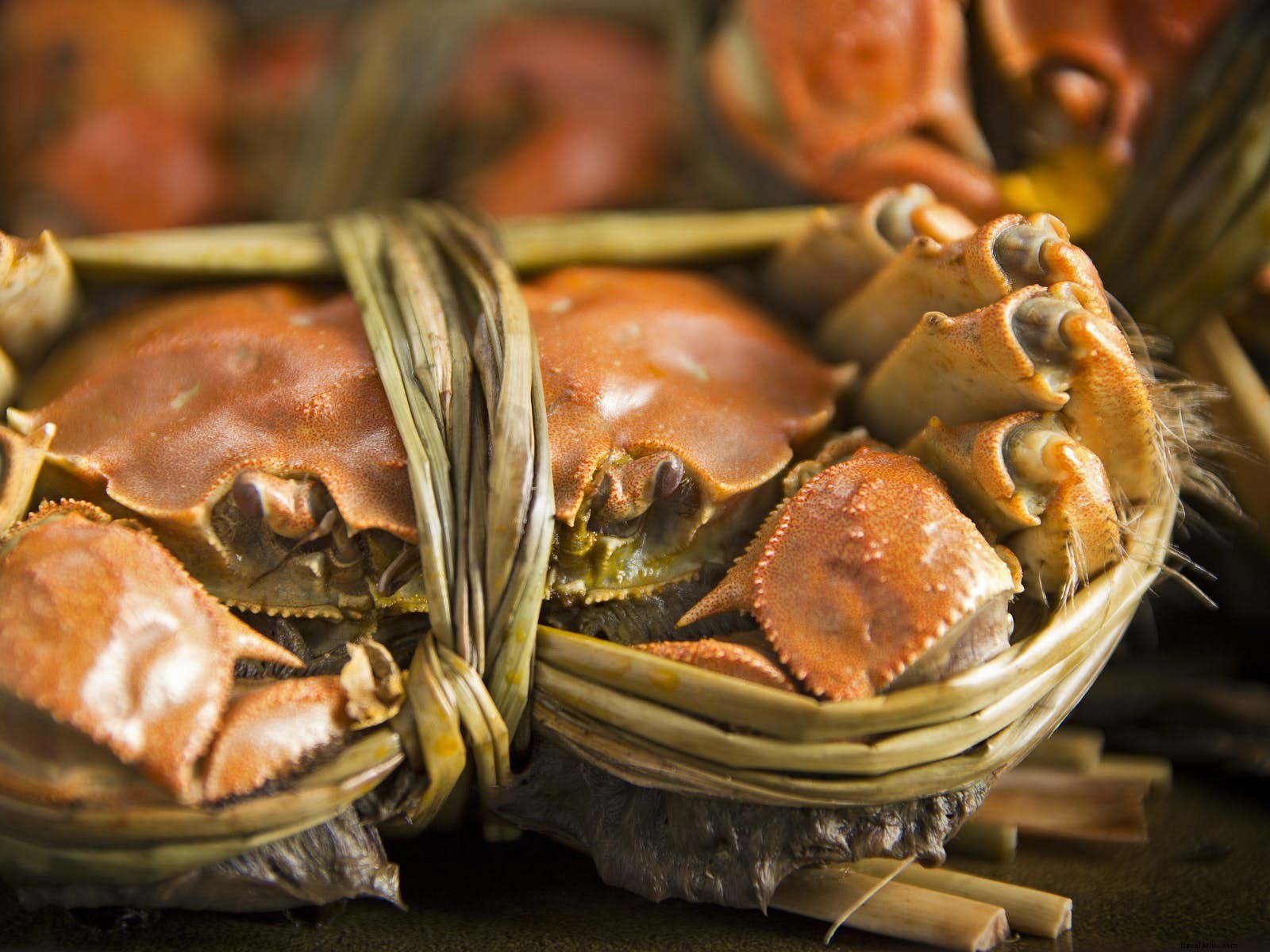 Não há melhor solha:nove restaurantes sensacionais de frutos do mar em todo o mundo 