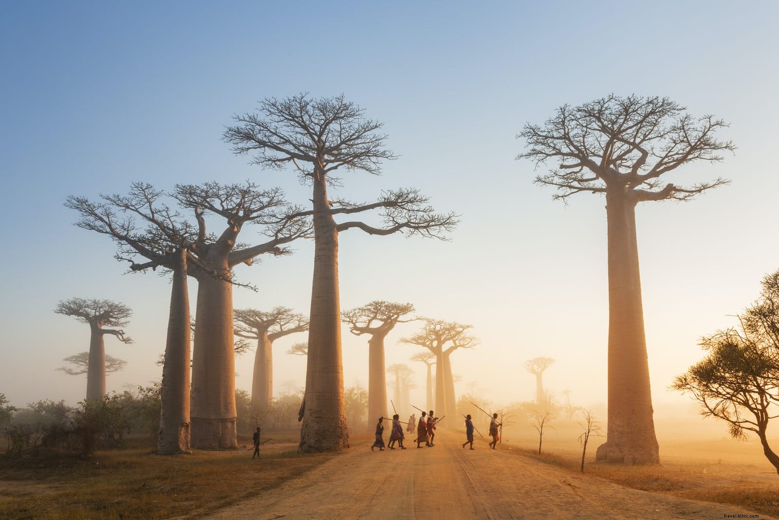 Madagaskar:sebuah pulau yang berbeda dari yang lain 