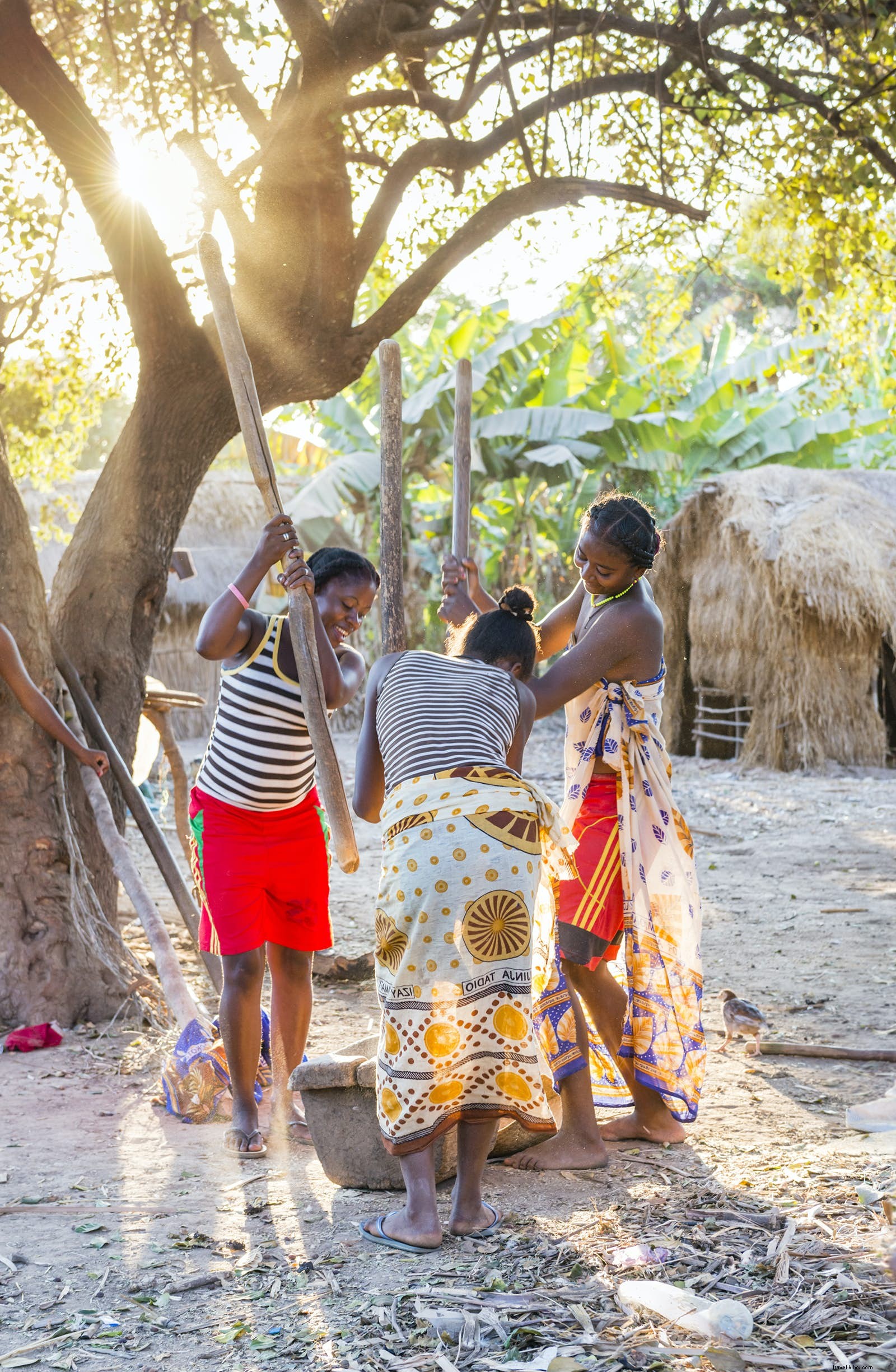 Madagaskar:sebuah pulau yang berbeda dari yang lain