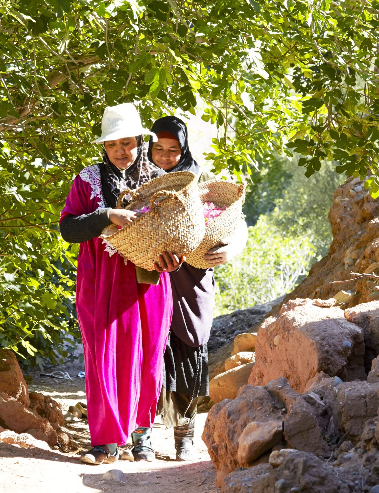 バラの谷：モロッコの花祭りを発見する 