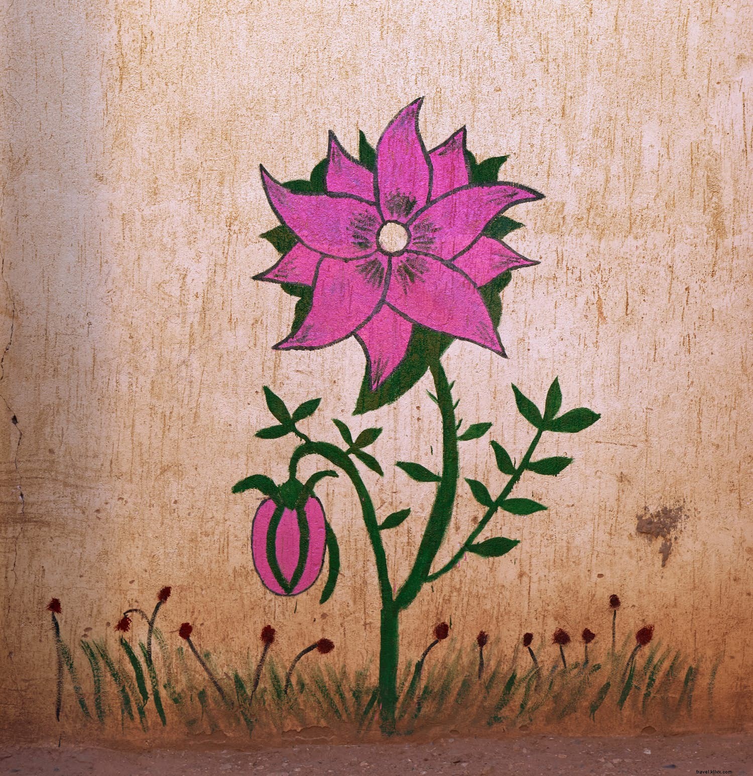 Valle de las Rosas:descubre el festival floral de Marruecos 