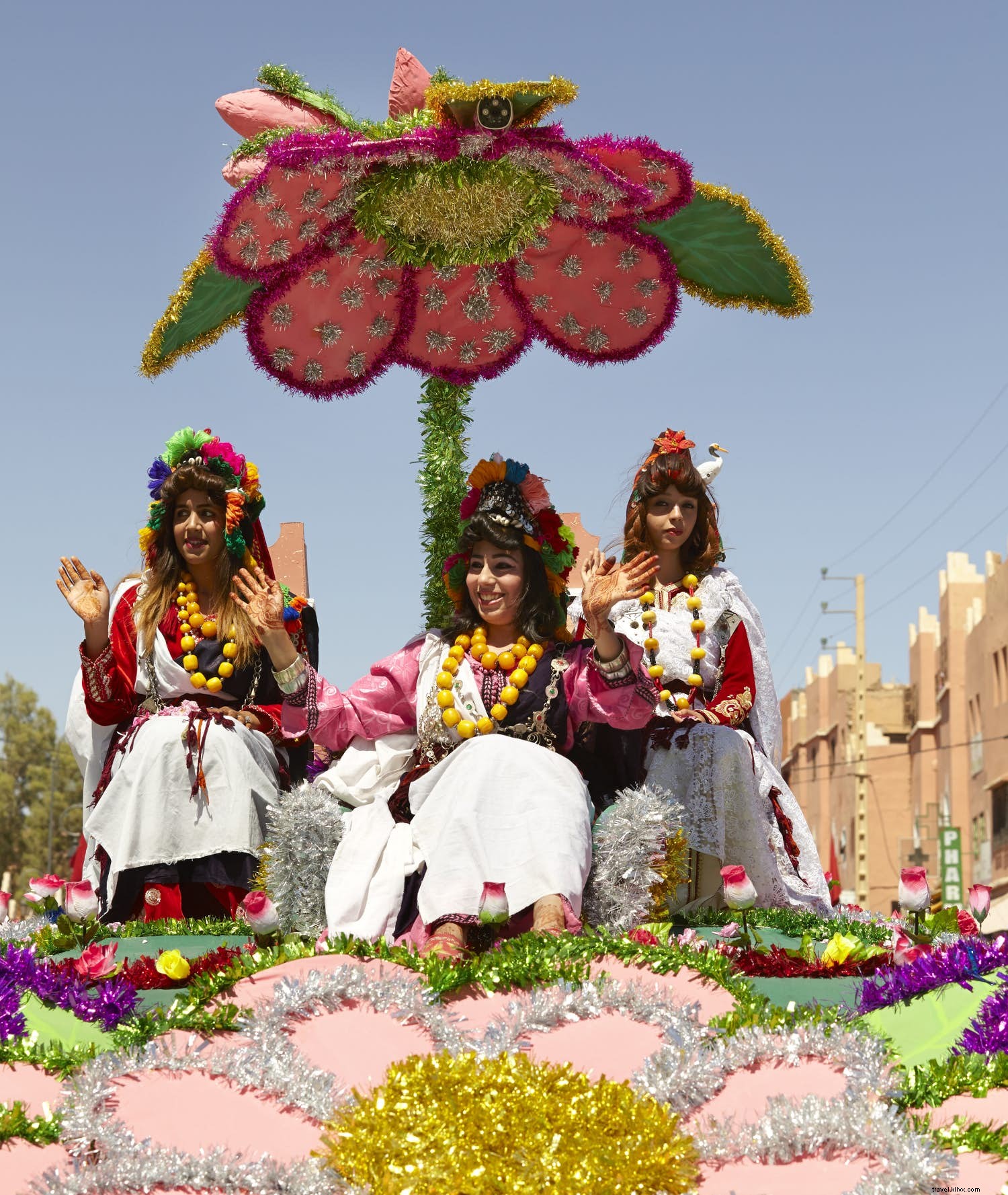 Vale das Rosas:descubra o festival floral de Marrocos 
