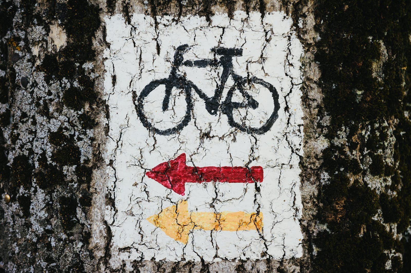 Dieci consigli per affrontare il tuo primo tour in bici 
