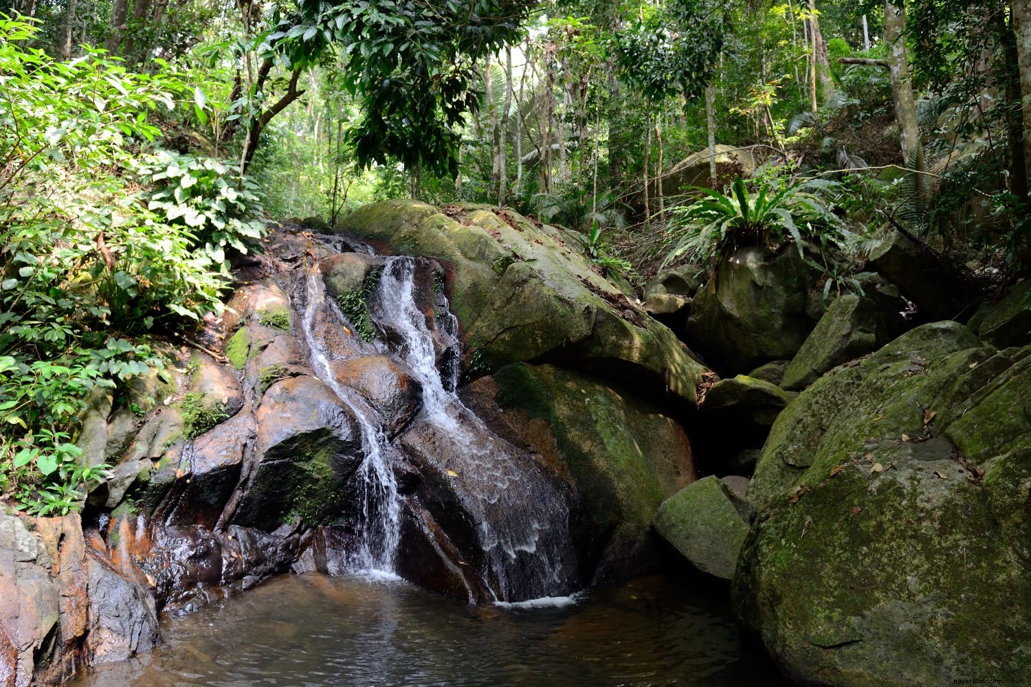 ハネムーンアイランドトップ10 