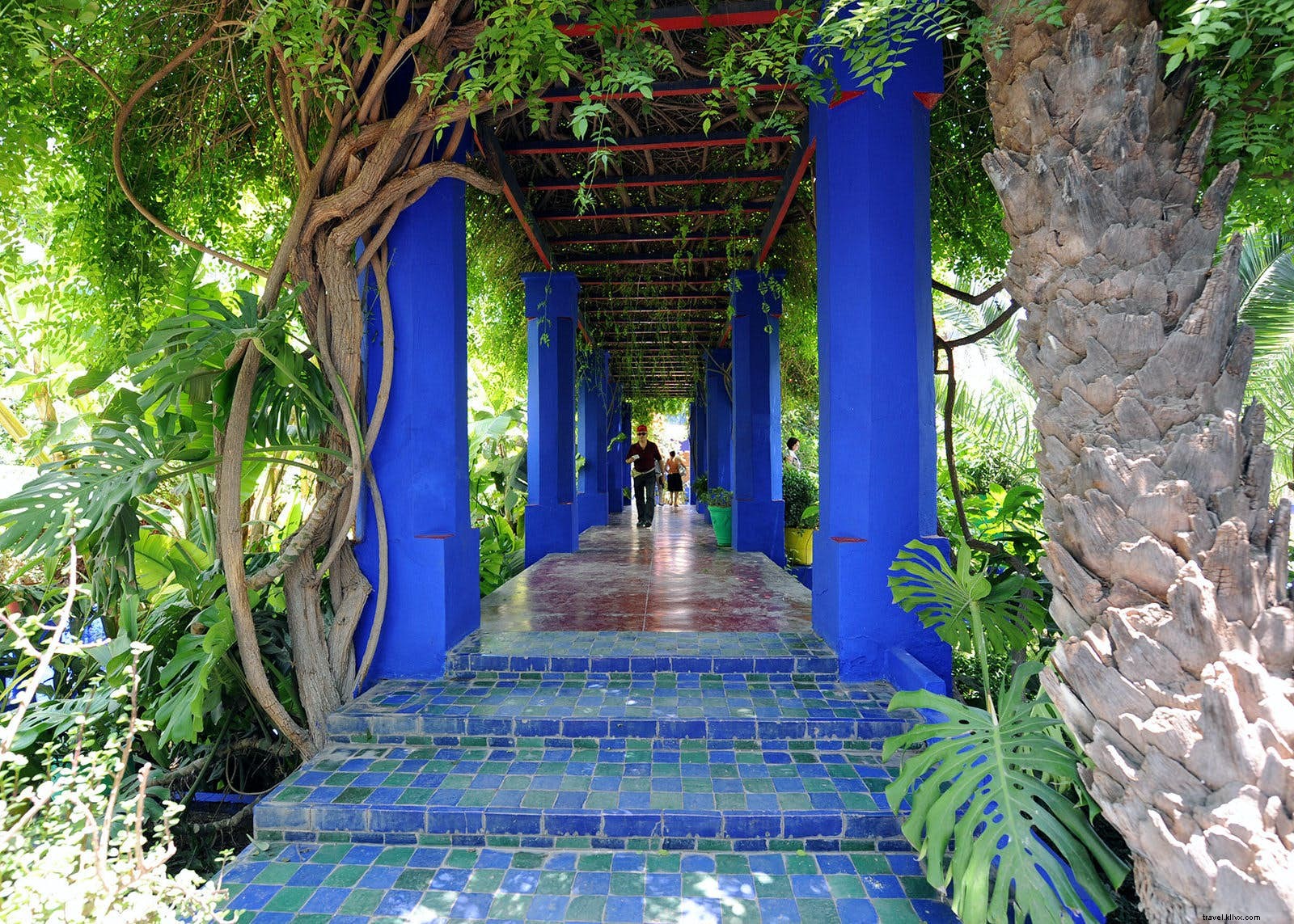 Novedad en viajes:adónde nuestros trotamundos quieren ir a continuación 