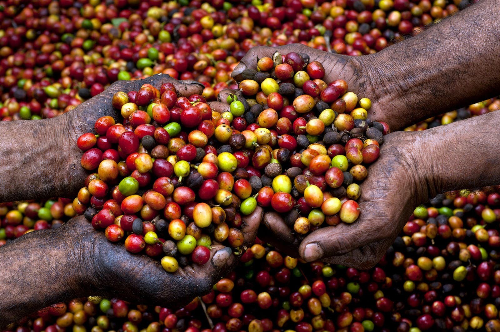 Baru dalam Perjalanan:pembukaan baru terbaik tahun 2017 (21 hingga 35) 