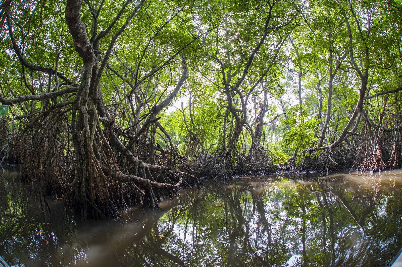 Baru dalam Perjalanan:pembukaan baru terbaik tahun 2017 (21 hingga 35) 
