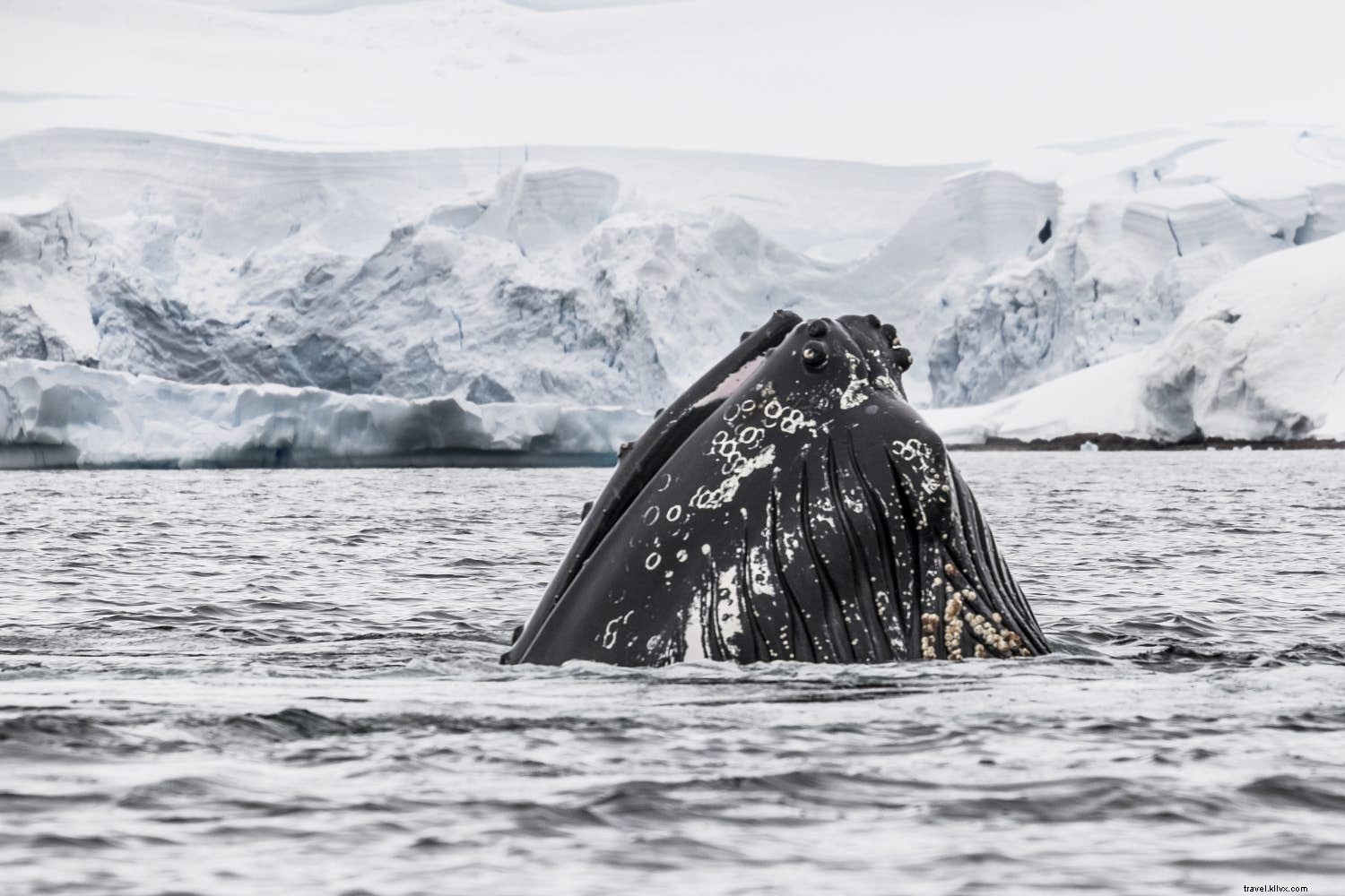 Una reorganización estacional:formas alternativas de pasar el período festivo 