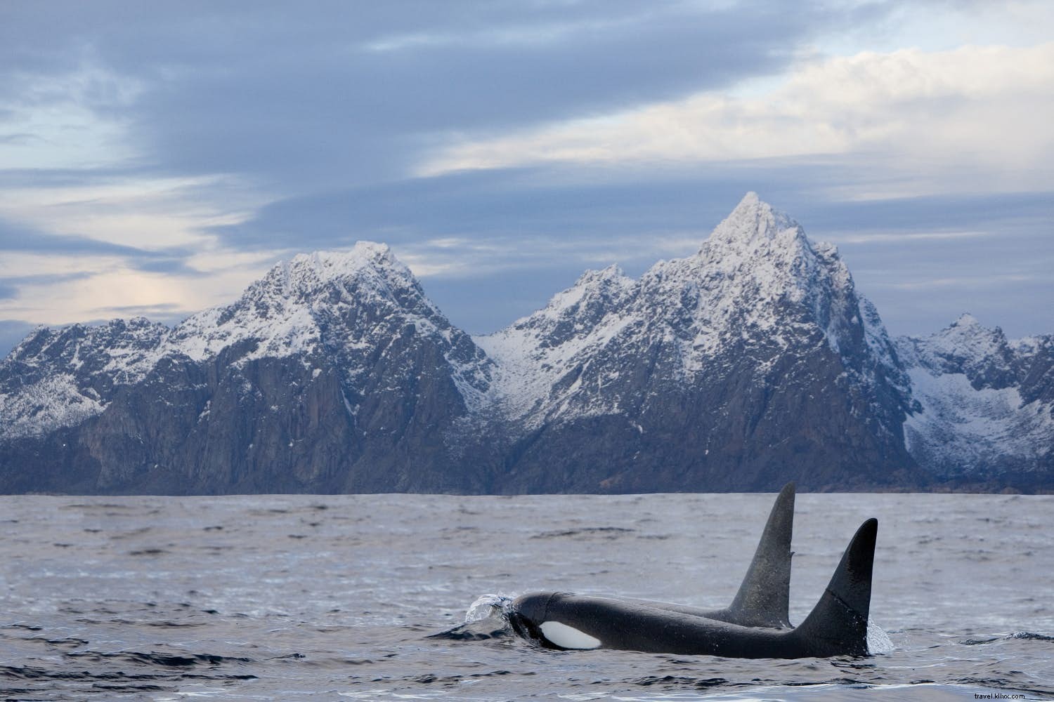 Conoce a un viajero:Selina McMinn, Tripulación de cabina de Air New Zealand 