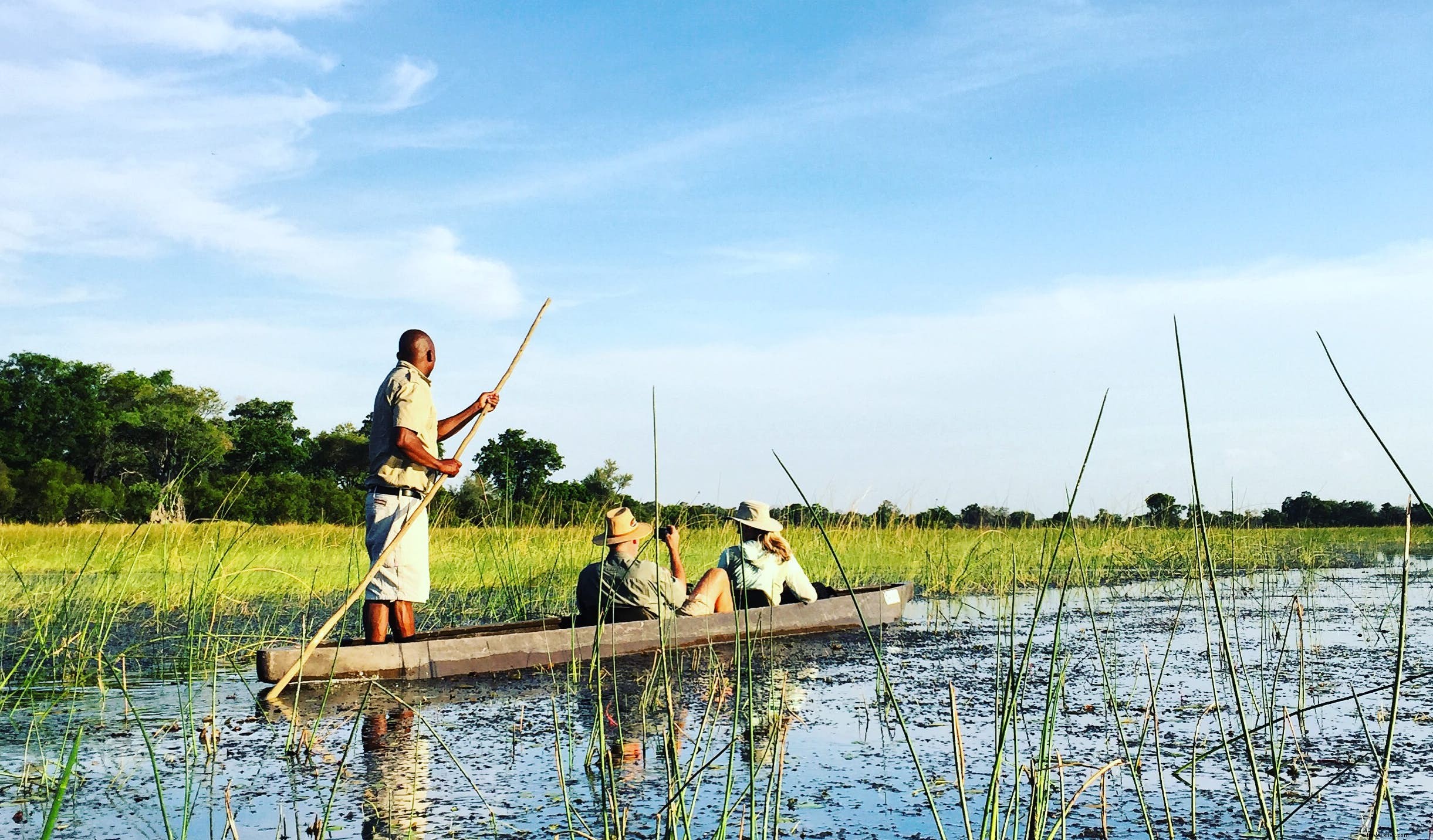 Del delta al desierto con un río en el medio:una historia de tres safaris en Botswana 