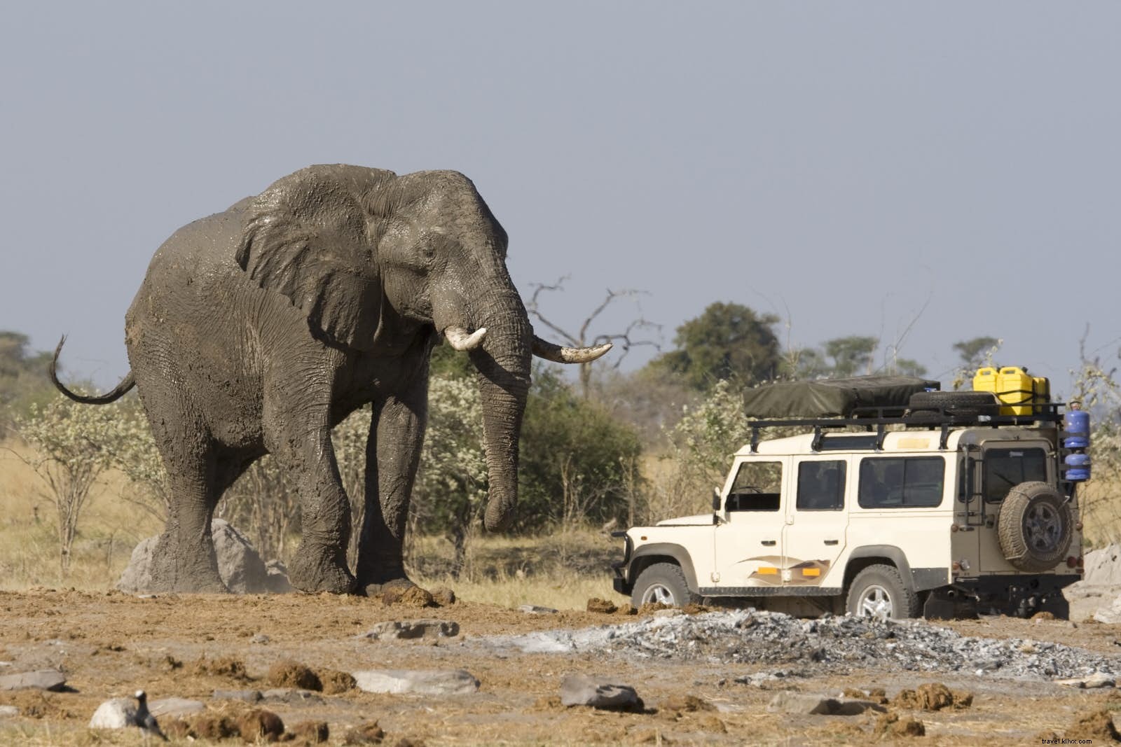 Botswana :les récompenses des safaris sans chauffeur 