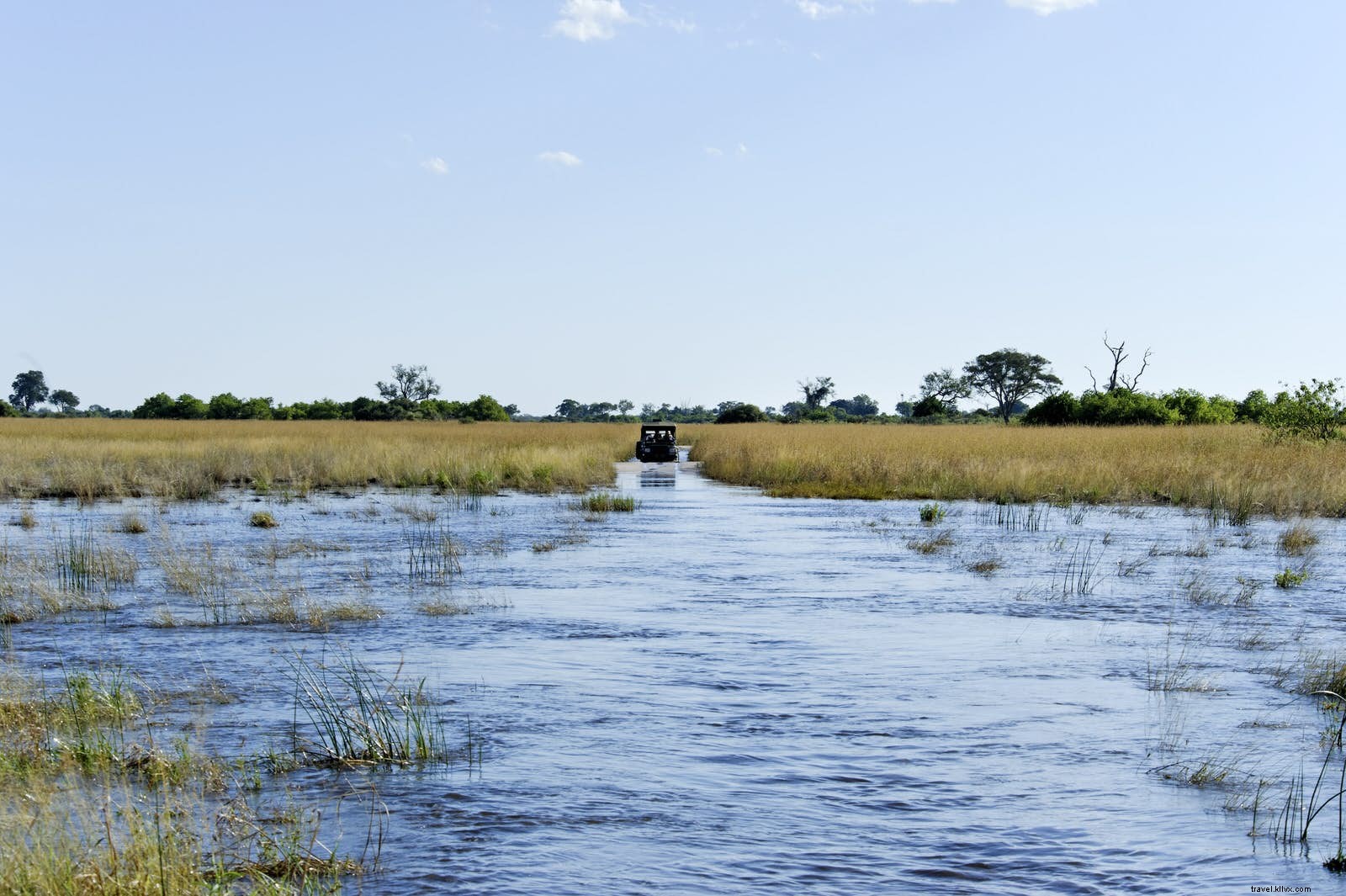 Botswana:hadiah dari safari mengemudi sendiri 