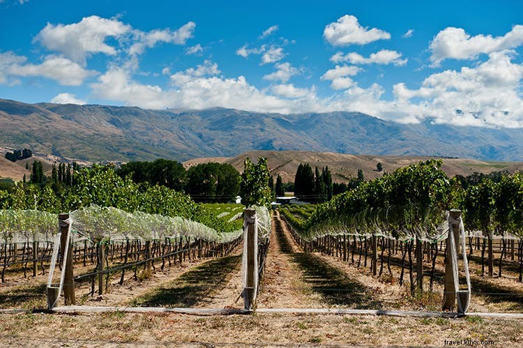 Dez das regiões vinícolas mais intrigantes do mundo 