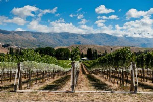 Diez de las regiones vinícolas más fascinantes del mundo 