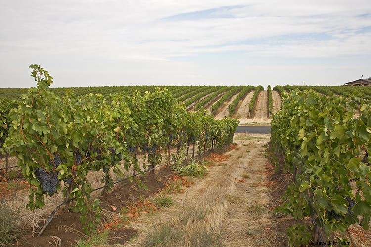 Dez das regiões vinícolas mais intrigantes do mundo 