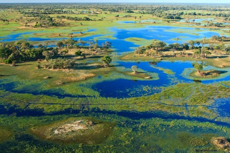 El Okavango:por qué necesitas un safari en el delta de Botswana 