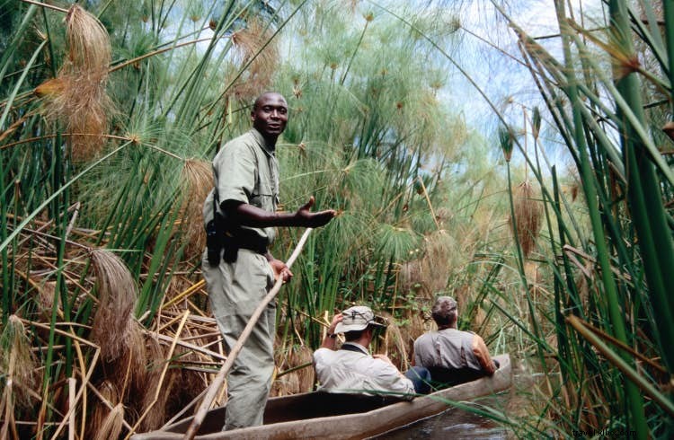 O Okavango:por que você precisa de um safári no delta do Botswana 