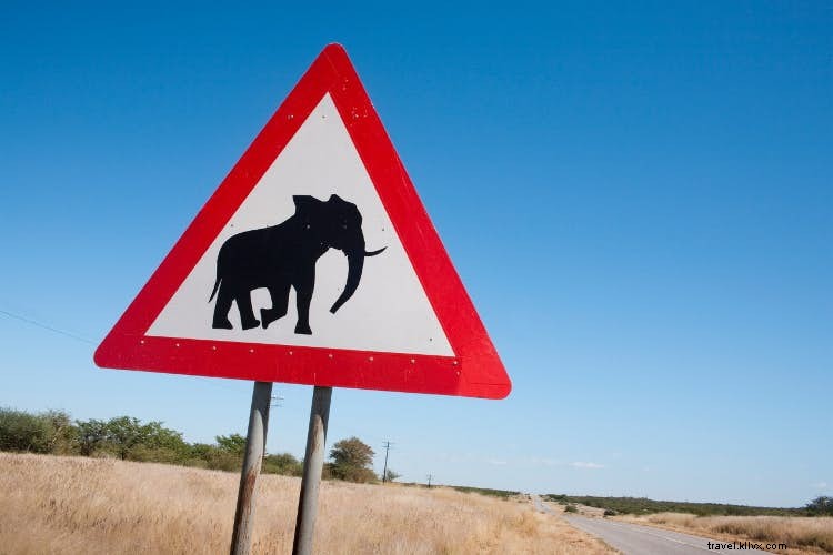 Safari in autonomia in Namibia 