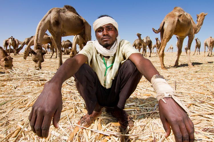 スーダンの探索：写真での砂漠の旅 