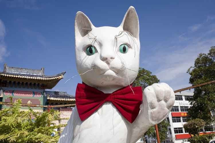 Meong kucing:10 tujuan teratas untuk fanatik kucing 
