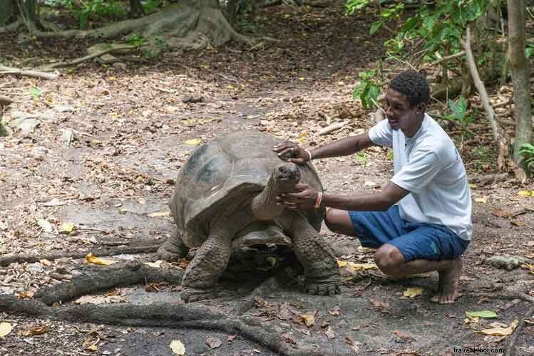 Seychelles untuk pelancong independen 