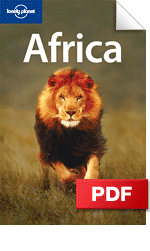 中央アフリカ共和国でのピグミーとの狩猟 