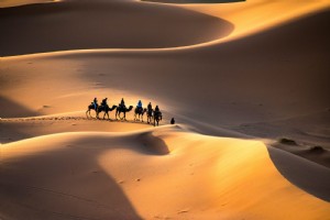 Désert des rêves :comment et où découvrir le Sahara 
