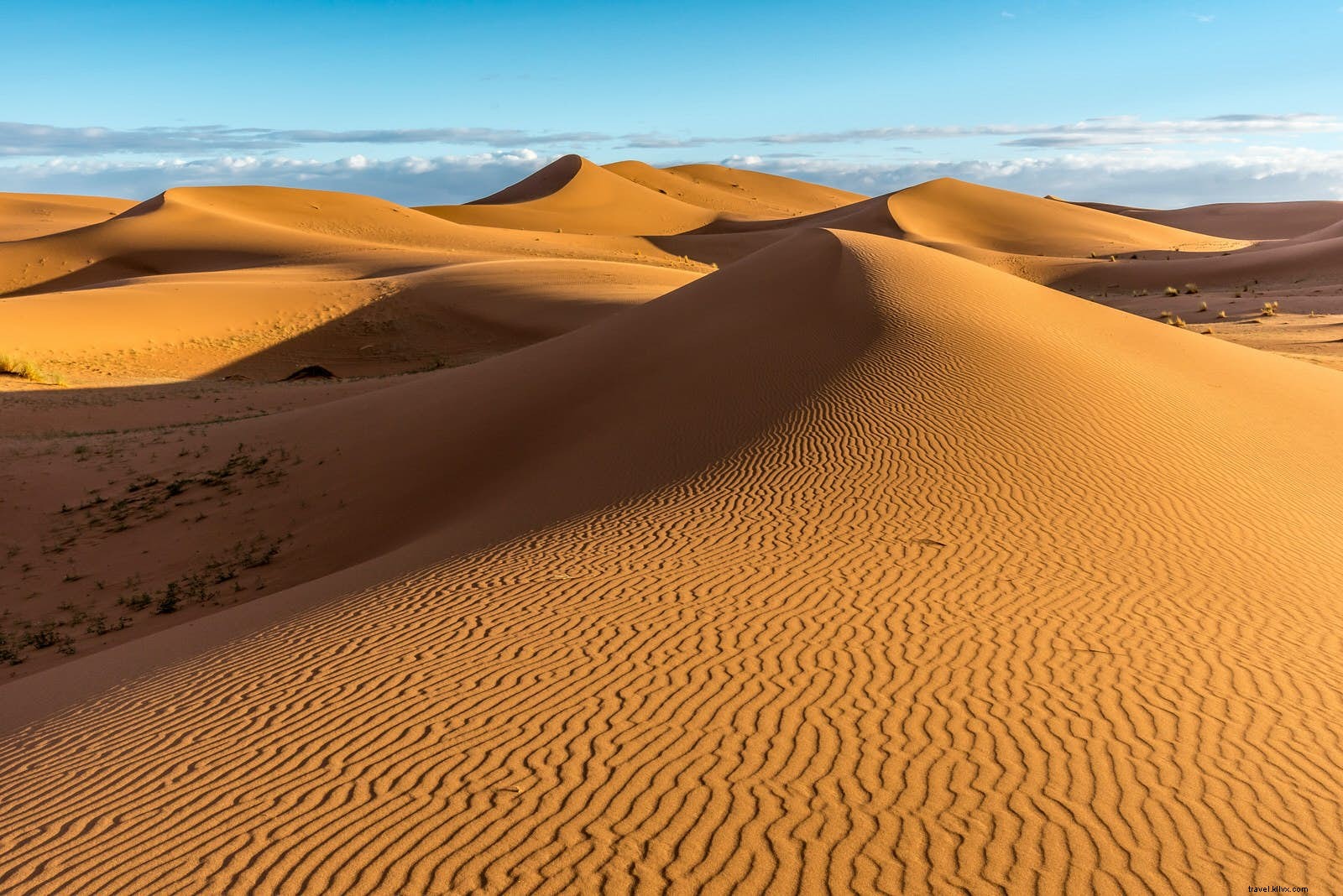 夢の砂漠：サハラを体験する方法と場所 