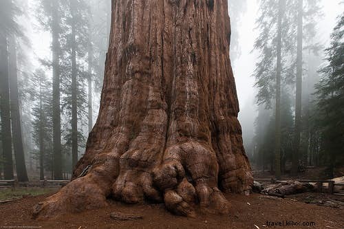 La guía del botánico de las plantas más sexys del mundo 