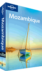 モザンビークのサーフ＆ターフサファリ 