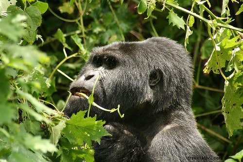 As vistas mais fascinantes do planeta 