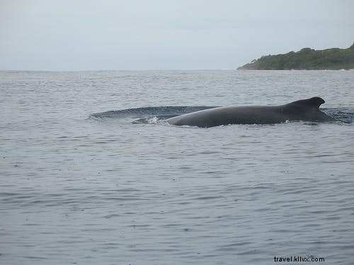 As vistas mais fascinantes do planeta 