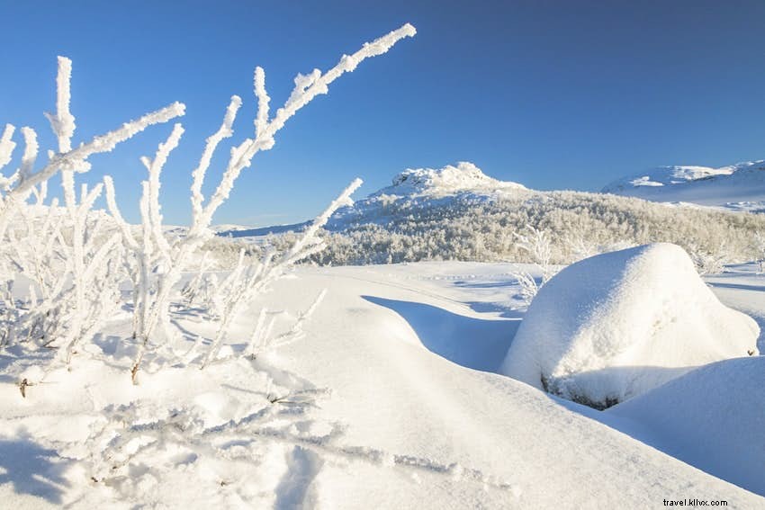 Eterno inverno:dove sciare tutti i mesi dell anno 