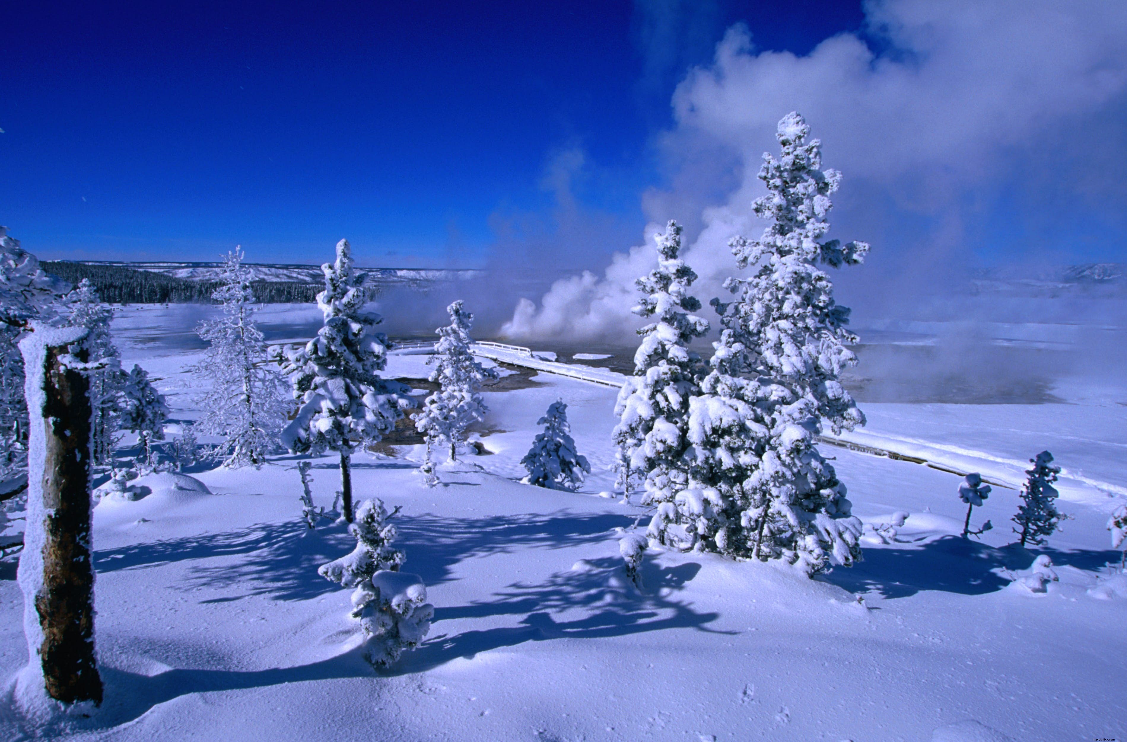 7 ide perjalanan musim dingin teratas di seluruh dunia 