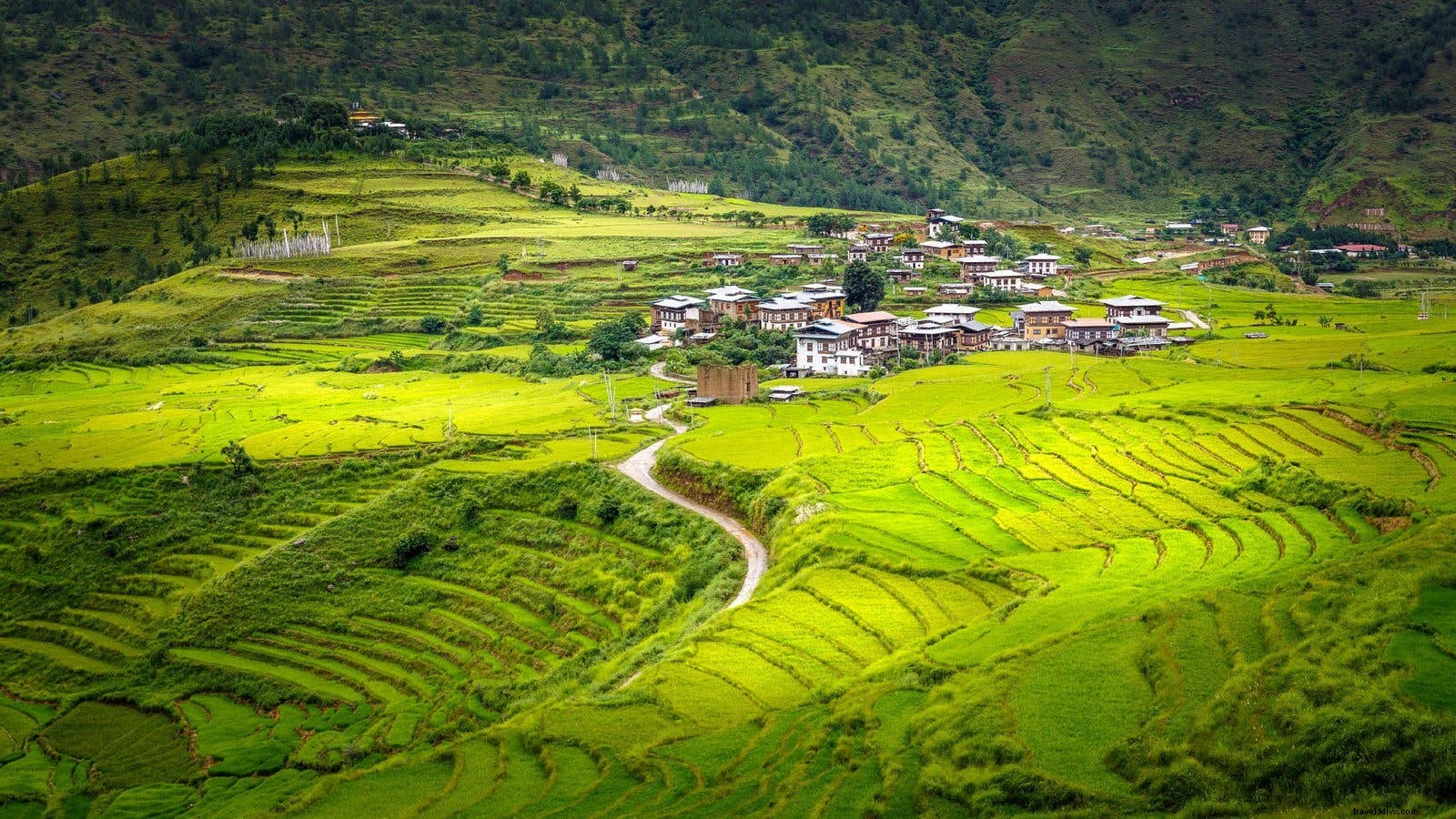 Come prenotare un viaggio in Bhutan:tutto quello che c è da sapere 