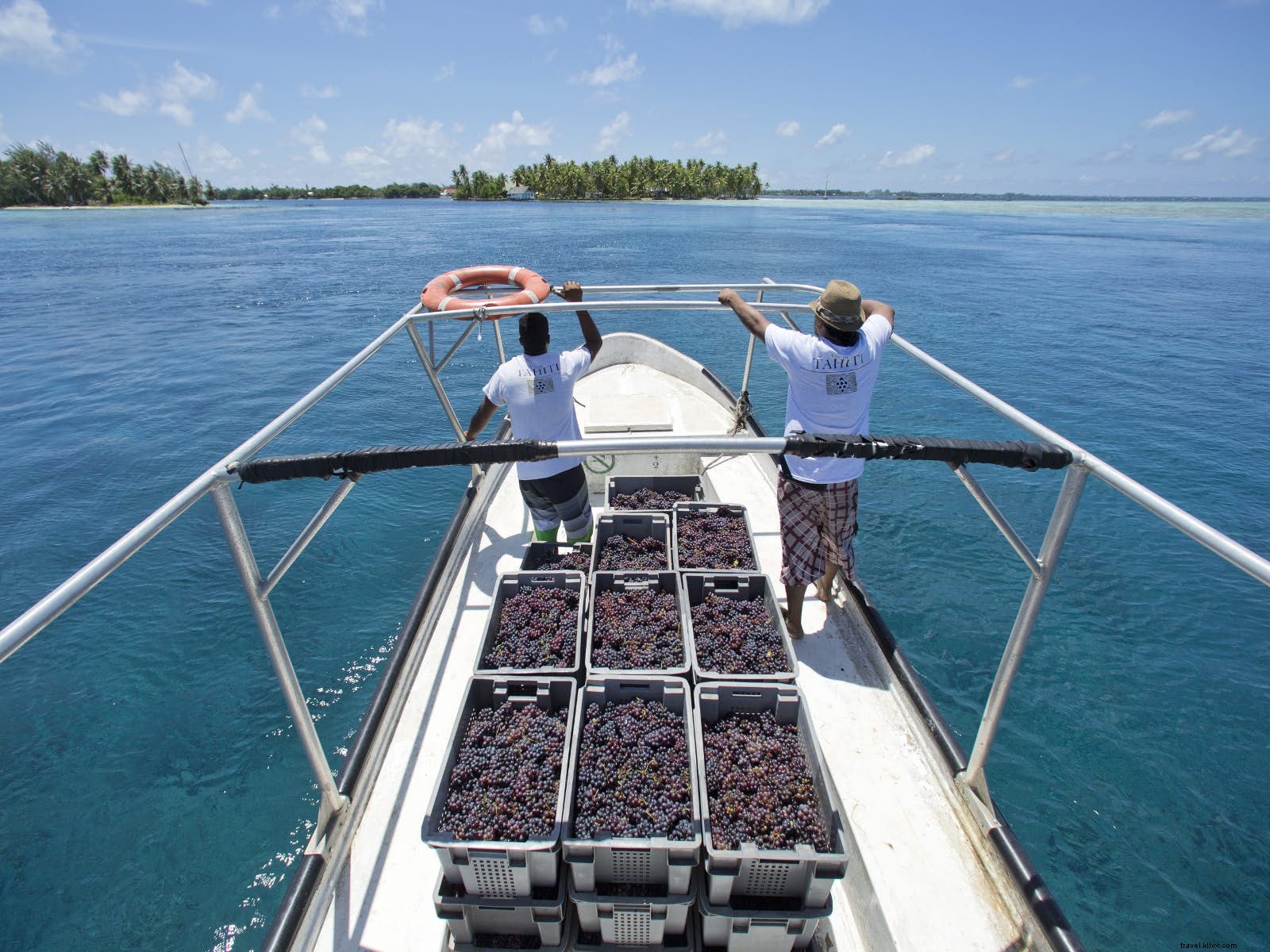 Oito ilhas embriagadas:ilhas inesperadas por onde os produtores de vinho vagaram 