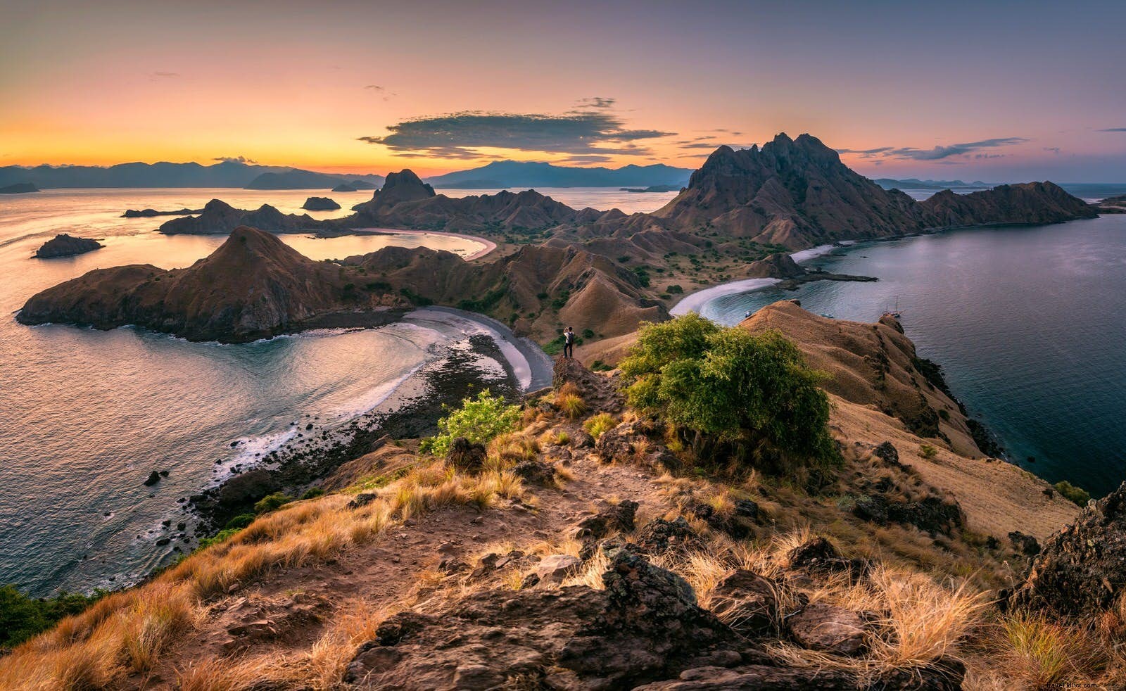 Entra en el dragón:explora las atracciones salvajes del Parque Nacional de Komodo 