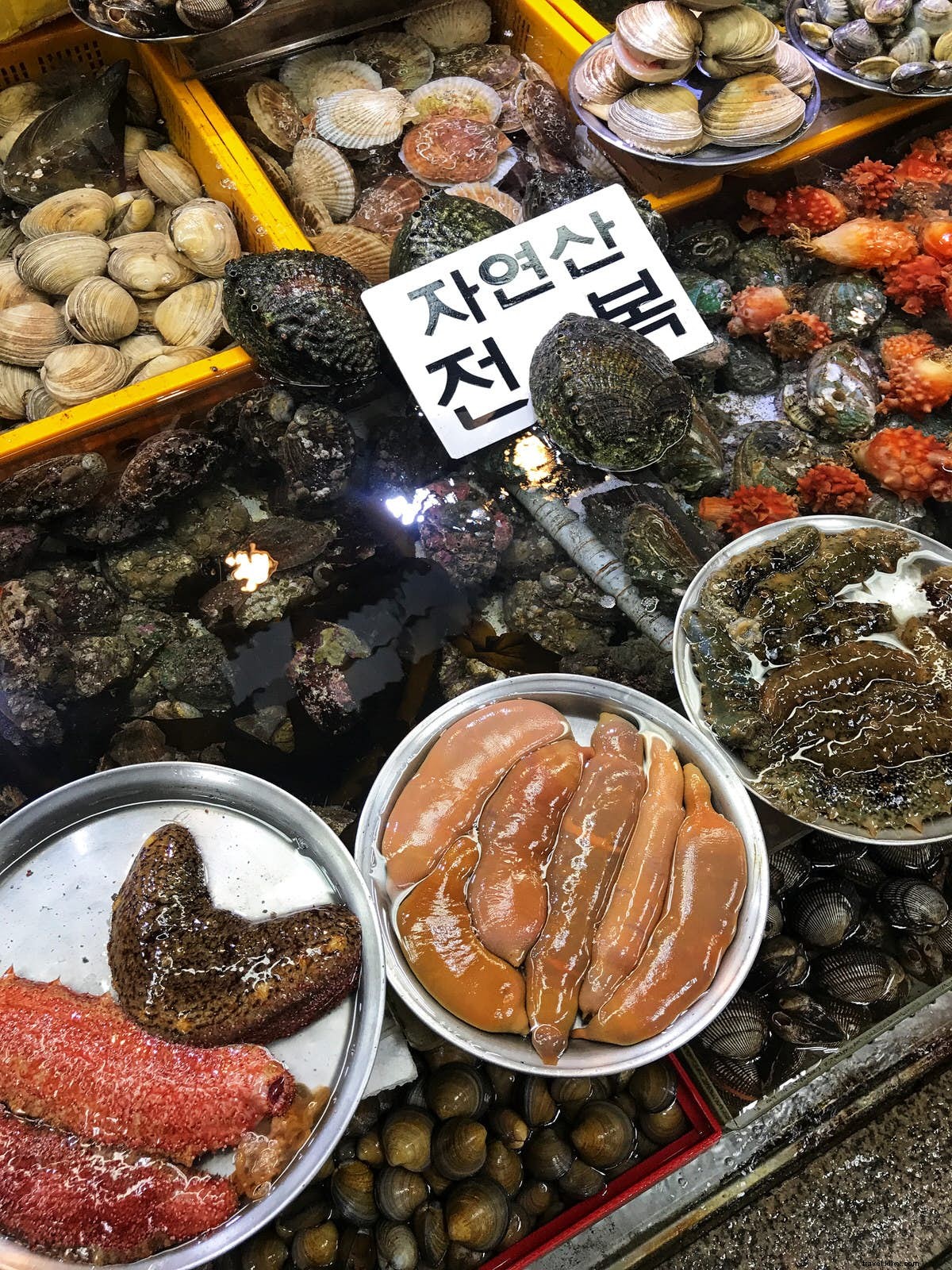 Bites of Busan:makanan unik di kota tepi laut Korea 
