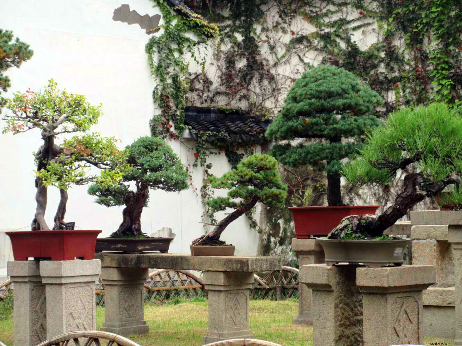 Jardin où s attarder :les élégants jardins chinois classiques de Suzhou 