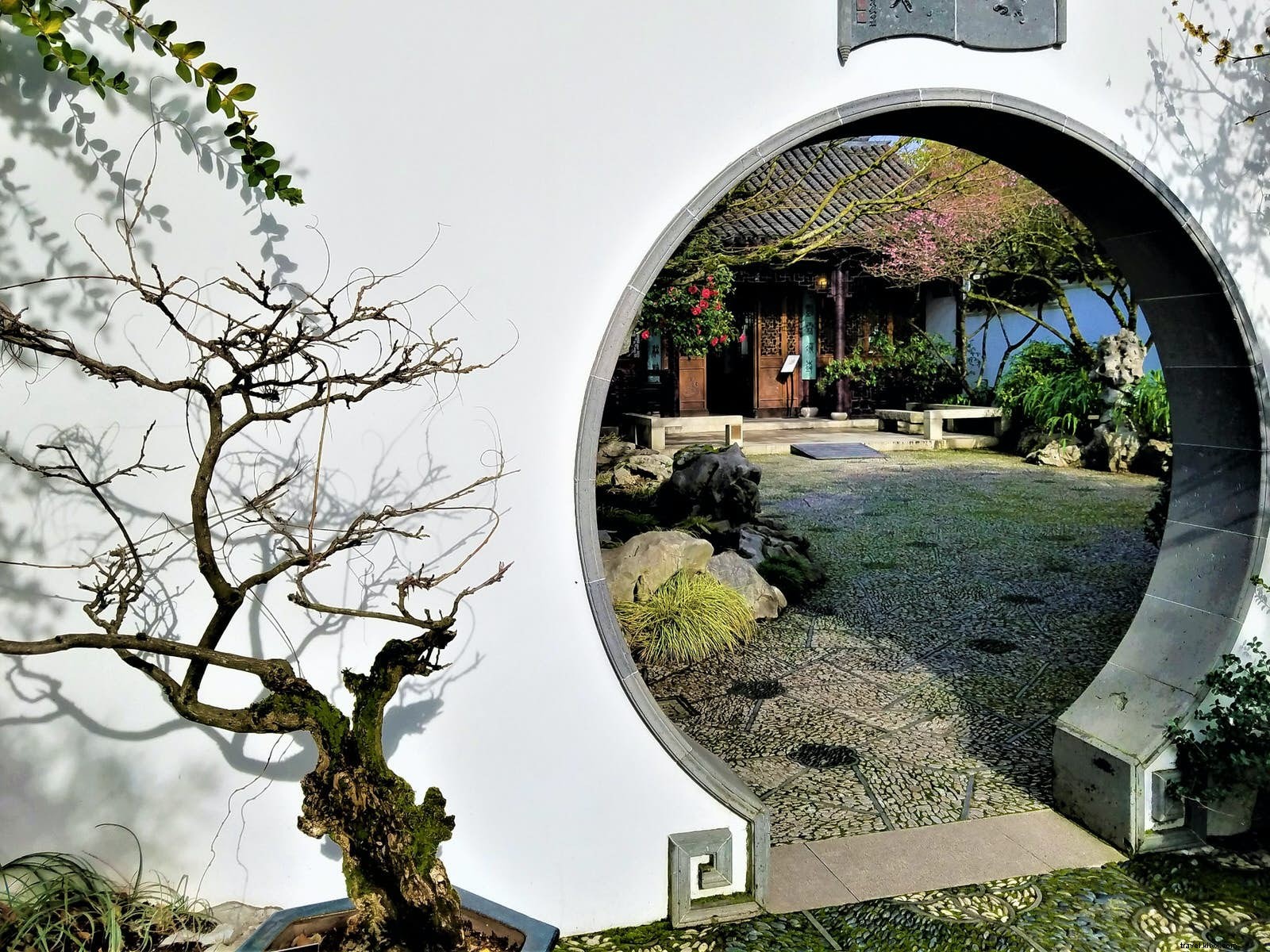 Jardin où s attarder :les élégants jardins chinois classiques de Suzhou 