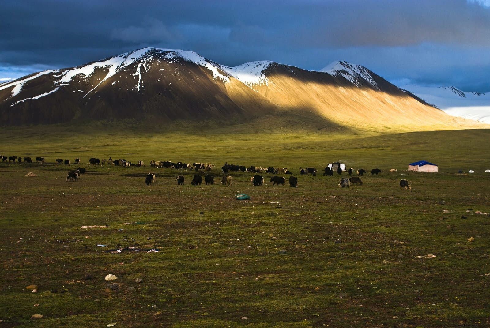 Dormir sob o cabelo de iaque:a vida com os nômades tibetanos de Gansu 