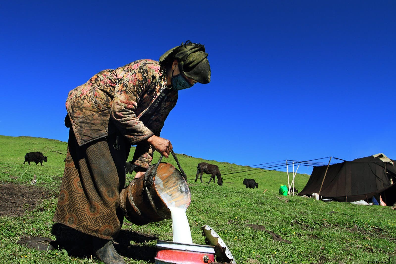 Dormir sous des poils de yak :la vie avec les nomades tibétains du Gansu 
